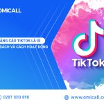 Quảng cáo TikTok là gì? Chính sách quảng cáo và cách hoạt động